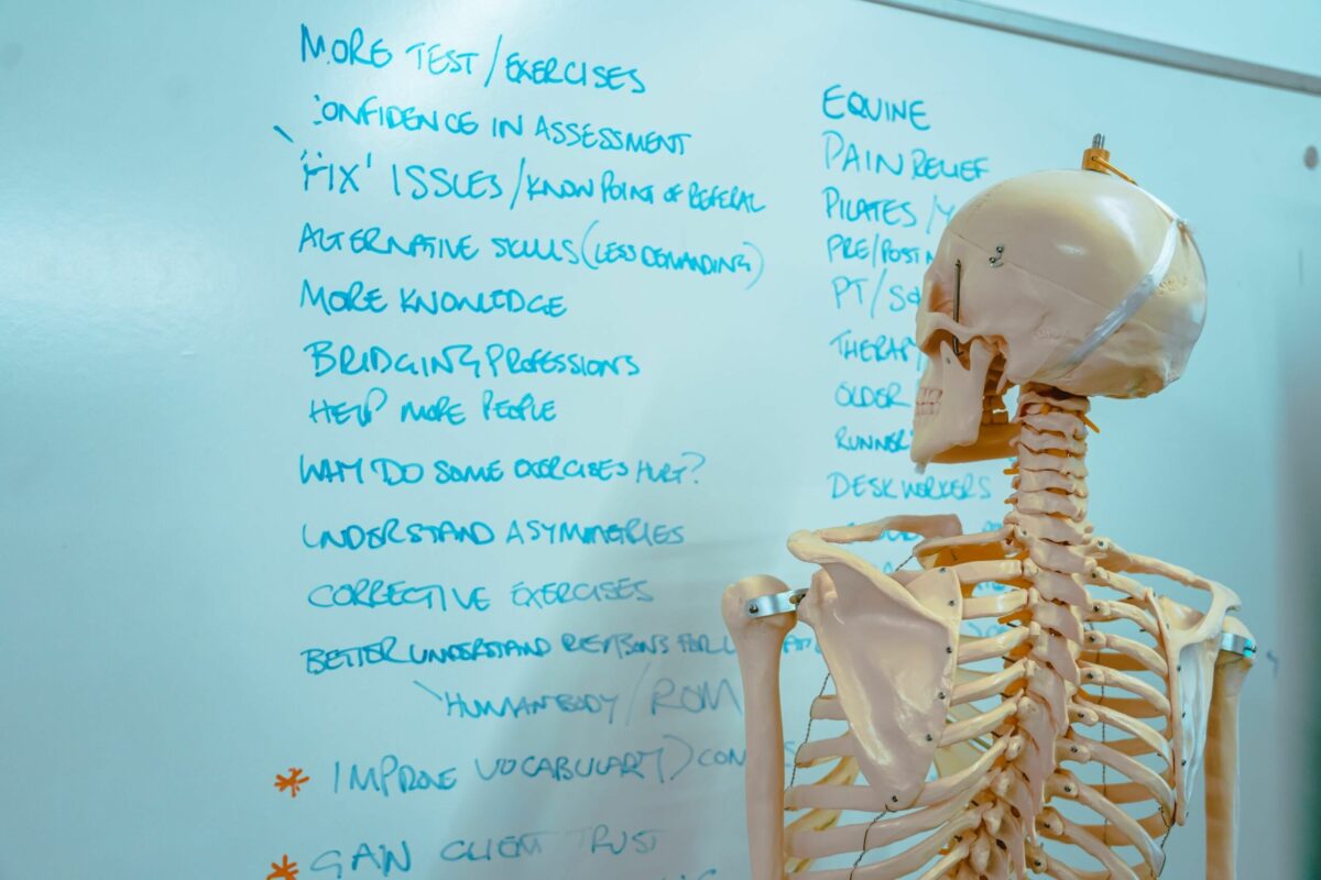 Practical Anatomy Series Biomechanics Education